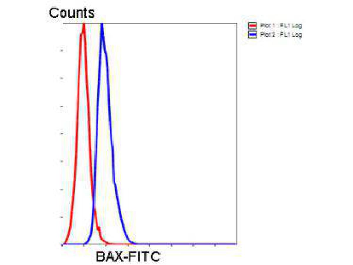 Flow cytometric analysis of Hela cells with vimentin antibody at 1/50 dilution (blue) compared with an unlabelled control (cells without incubation with primary antibody; red). Goat anti mouse IgA (FITC) was used as the secondary antibody.