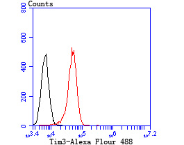 Flow cytometric analysis of Daudi cells with Tim3 antibody at 1/100 dilution (red) compared with an unlabelled control (cells without incubation with primary antibody; black).