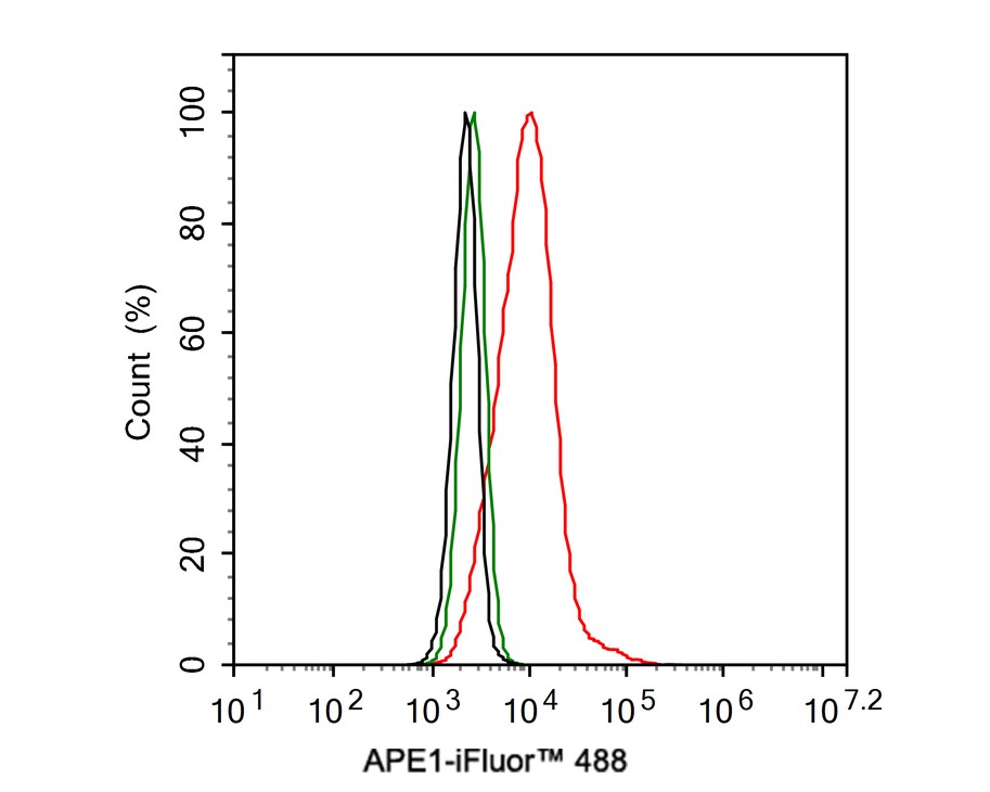Flow cytometric analysis of HeLa cells labeling APE1.<br />
<br />
Cells were fixed and permeabilized. Then stained with the primary antibody (EM1801-12, 1μg/mL) (red) compared with Mouse IgG1 Isotype Control (green). After incubation of the primary antibody at +4℃ for an hour, the cells were stained with a iFluor™ 488 conjugate-Goat anti-Mouse IgG Secondary antibody (HA1125) at 1/1,000 dilution for 30 minutes at +4℃. Unlabelled sample was used as a control (cells without incubation with primary antibody; black).