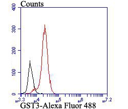 Immunohistochemical analysis of paraffin-embedded human placenta tissue using anti-GST3 antibody. The section was pre-treated using heat mediated antigen retrieval with Tris-EDTA buffer (pH 8.0-8.4) for 20 minutes.The tissues were blocked in 5% BSA for 30 minutes at room temperature, washed with ddH2O and PBS, and then probed with the antibody (EM1801-18) at 1/200 dilution, for 30 minutes at room temperature and detected using an HRP conjugated compact polymer system. DAB was used as the chrogen. Counter stained with hematoxylin and mounted with DPX.