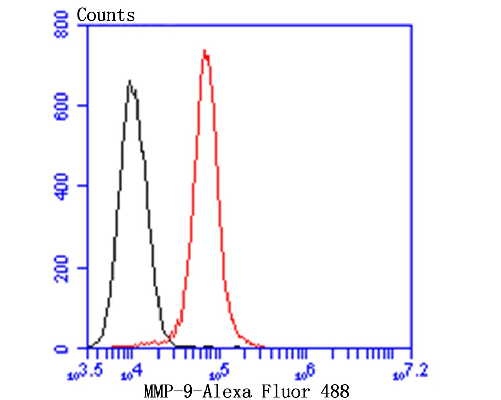 Flow cytometric analysis of MMP9 was done on MG-63 cells. The cells were fixed, permeabilized and stained with MMP9 antibody at 1/100 dilution (red) compared with an unlabelled control (cells without incubation with primary antibody; black). After incubation of the primary antibody on room temperature for 1 hour, the cells was stained with a Alexa Fluor™ 488-conjugated Goat anti-Mouse IgG Secondary antibody at 1/500 dilution for 30 minutes.
