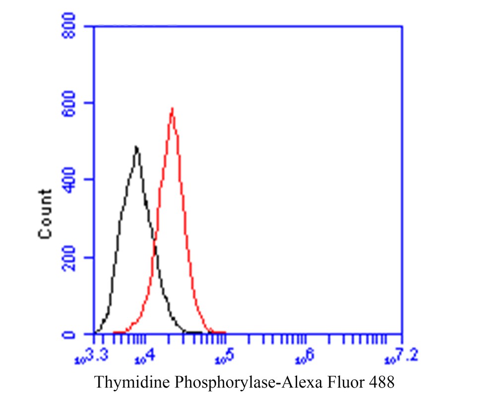 Flow cytometric analysis of Thymidine Phosphorylase was done on SiHa cells. The cells were fixed, permeabilized and stained with the primary antibody (EM1901-22, 1/100) (red). After incubation of the primary antibody at room temperature for an hour, the cells were stained with a Alexa Fluor 488-conjugated goat anti-Mouse IgG Secondary antibody at 1/500 dilution for 30 minutes.Unlabelled sample was used as a control (cells without incubation with primary antibody; black).
