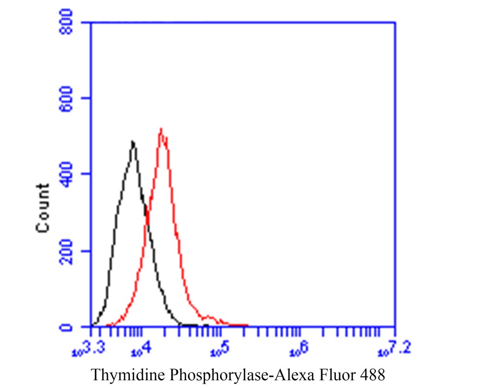 Flow cytometric analysis of Thymidine Phosphorylase was done on SiHa cells. The cells were fixed, permeabilized and stained with the primary antibody (EM1901-23, 1/100) (red). After incubation of the primary antibody at room temperature for an hour, the cells were stained with a Alexa Fluor 488-conjugated goat anti-Mouse IgG Secondary antibody at 1/500 dilution for 30 minutes.Unlabelled sample was used as a control (cells without incubation with primary antibody; black).