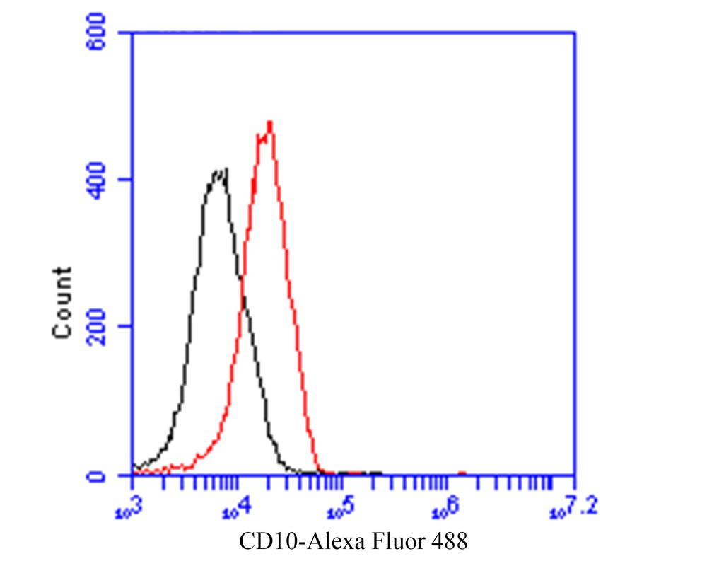Flow cytometric analysis of CD10 was done on 293 cells. The cells were fixed, permeabilized and stained with the primary antibody (EM1901-24, 1/100) (red). After incubation of the primary antibody at room temperature for an hour, the cells were stained with a Alexa Fluor 488-conjugated goat anti-Mouse IgG Secondary antibody at 1/500 dilution for 30 minutes.Unlabelled sample was used as a control (cells without incubation with primary antibody; black).