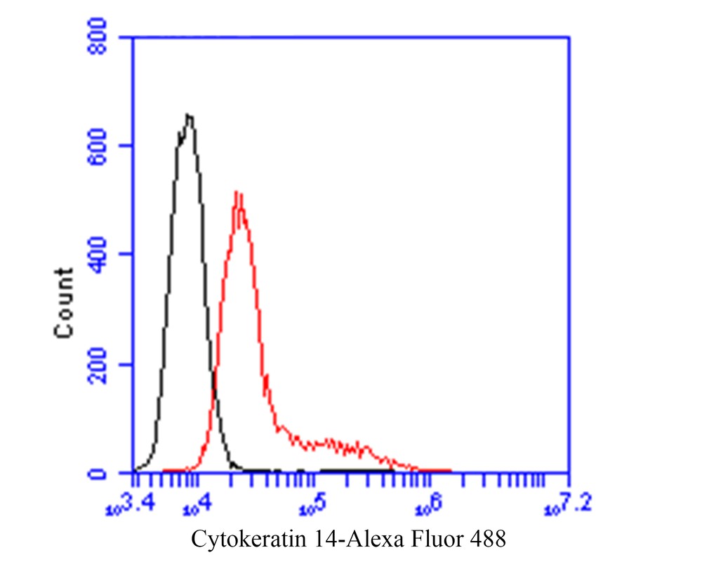Flow cytometric analysis of Cytokeratin 14 was done on A431 cells. The cells were fixed, permeabilized and stained with the primary antibody (em1901-31, 1/100) (red). After incubation of the primary antibody at room temperature for an hour, the cells were stained with a Alexa Fluor 488-conjugated goat anti-Mouse IgG Secondary antibody at 1/500 dilution for 30 minutes.Unlabelled sample was used as a control (cells without incubation with primary antibody; black).