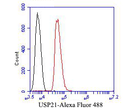 Flow cytometric analysis of USP21 was done on SH-SY5Y cells. The cells were fixed, permeabilized and stained with the primary antibody (EM1901-37, 1/50) (red). After incubation of the primary antibody at room temperature for an hour, the cells were stained with a Alexa Fluor 488-conjugated Goat anti-Mouse IgG Secondary antibody at 1/1000 dilution for 30 minutes.Unlabelled sample was used as a control (cells without incubation with primary antibody; black).