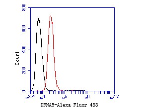Flow cytometric analysis of DFNA5/GSDME was done on SH-SY5Y cells. The cells were fixed, permeabilized and stained with the primary antibody (EM1901-48, 1/50) (red). After incubation of the primary antibody at room temperature for an hour, the cells were stained with a Alexa Fluor 488-conjugated Goat anti-Mouse IgG Secondary antibody at 1/1000 dilution for 30 minutes.Unlabelled sample was used as a control (cells without incubation with primary antibody; black).