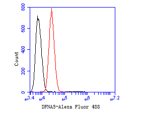 Flow cytometric analysis of DFNA5/GSDME was done on SH-SY5Y cells. The cells were fixed, permeabilized and stained with the primary antibody (EM1901-49, 1/50) (red). After incubation of the primary antibody at room temperature for an hour, the cells were stained with a Alexa Fluor 488-conjugated Goat anti-Mouse IgG Secondary antibody at 1/1000 dilution for 30 minutes.Unlabelled sample was used as a control (cells without incubation with primary antibody; black).