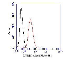 Flow cytometric analysis of LYRIC was done on K562 cells. The cells were fixed, permeabilized and stained with the primary antibody (EM1901-61, 1/50) (red). After incubation of the primary antibody at room temperature for an hour, the cells were stained with a Alexa Fluor 488-conjugated Goat anti-Mouse IgG Secondary antibody at 1/1,000 dilution for 30 minutes.Unlabelled sample was used as a control (cells without incubation with primary antibody; black).