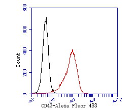 Flow cytometric analysis of CD43 was done on HL-60 cells. The cells were fixed, permeabilized and stained with the primary antibody (EM1901-71, 1/50) (red). After incubation of the primary antibody at room temperature for an hour, the cells were stained with a Alexa Fluor 488-conjugated Goat anti-Mouse IgG Secondary antibody at 1/1,000 dilution for 30 minutes.Unlabelled sample was used as a control (cells without incubation with primary antibody; black).