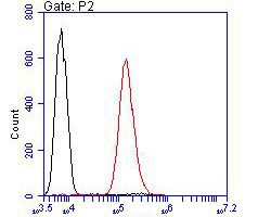 Flow cytometric analysis of ROBO1 was done on Siha cells. The cells were fixed, permeabilized and stained with the primary antibody (EM1901-72, 1/100) (red). After incubation of the primary antibody at room temperature for an hour, the cells were stained with a Alexa Fluor 488 Goat anti-Mouse IgG Secondary antibody at 1/500 dilution for 30 minutes.Unlabelled sample was used as a control (cells without incubation with primary antibody; black).