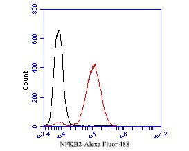 Flow cytometric analysis of NFKB2 was done on A431 cells. The cells were fixed, permeabilized and stained with the primary antibody (EM1901-79, 1/50) (red). After incubation of the primary antibody at room temperature for an hour, the cells were stained with a Alexa FluorTM488 Goat anti-Mouse IgG Secondary antibody at 1/1000 dilution for 30 minutes.Unlabelled sample was used as a control (cells without incubation with primary antibody; black).