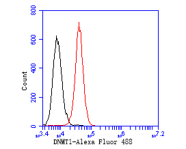 Flow cytometric analysis of DNMT1 was done on JAR cells. The cells were fixed, permeabilized and stained with the primary antibody (EM1901-84, 1/50) (red). After incubation of the primary antibody at room temperature for an hour, the cells were stained with a Alexa Fluor 488-conjugated Goat anti-Mouse IgG Secondary antibody at 1/1000 dilution for 30 minutes.Unlabelled sample was used as a control (cells without incubation with primary antibody; black).