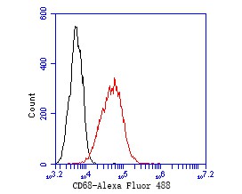 Flow cytometric analysis of CD68 was done on THP-1 cells. The cells were fixed, permeabilized and stained with the primary antibody (EM1901-93, 1/50) (red). After incubation of the primary antibody at room temperature for an hour, the cells were stained with a Alexa Fluor 488-conjugated Goat anti-Mouse IgG Secondary antibody at 1/1000 dilution for 30 minutes.Unlabelled sample was used as a control (cells without incubation with primary antibody; black).
