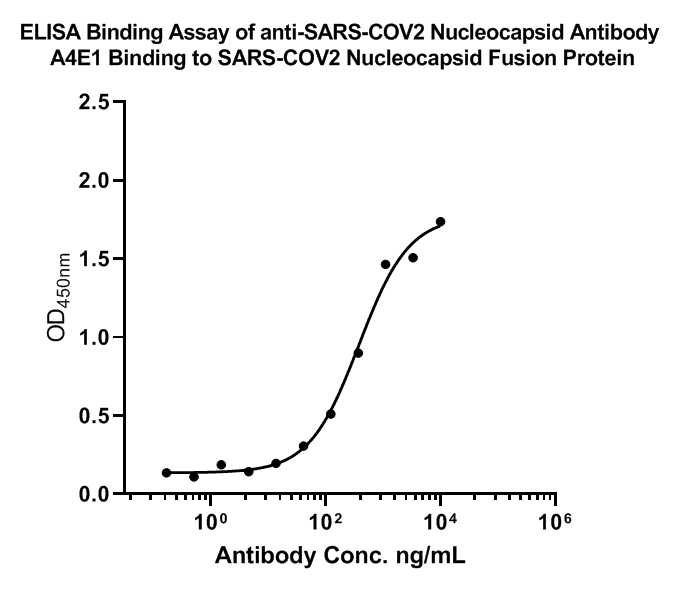 The binding activity of EM1902-20 with Recombinant SARS-CoV-2 Nucleocapsid protein.<br />
Immobilized Recombinant SARS-CoV-2 nucleocapsid protein at 1 μg/ml overnight at 4℃. Then blocked with 1% BSA for 1 hour at 37℃, and incubated with the primary antibody (EM1902-20) for 1 hour at 25℃. The EC50 of EM1902-20 is 381.8 ng/ml.