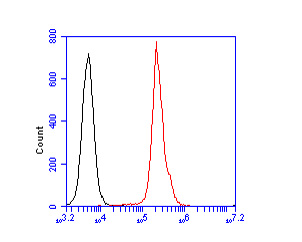 Flow cytometric analysis of ZAP70 was done on Jurkat cells. The cells were fixed, permeabilized and stained with the primary antibody (EM1902-28, 1/100) (red). After incubation of the primary antibody at room temperature for an hour, the cells were stained with a Alexa Fluor 488-conjugated goat anti-mouse IgG Secondary antibody at 1/500 dilution for 30 minutes.Unlabelled sample was used as a control (cells without incubation with primary antibody; blcak).
