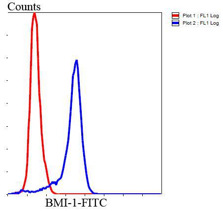 Flow cytometric analysis of Hela cells with BMI1 antibody at 1/100 dilution (blue) compared with an unlabelled control (cells without incubation with primary antibody; red). Goat anti mouse IgG (FITC) was used as the secondary antibody.