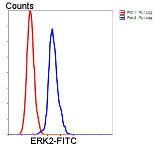 Flow cytometric analysis of ERK2 was done on Hela cells. The cells were fixed, permeabilized and stained with ERK2 antibody at 1/100 dilution (blue) compared with an unlabelled control (cells without incubation with primary antibody; red). After incubation of the primary antibody on room temperature for an hour, the cells was stained with FITC-conjugated goat anti-rabbit IgG Secondary antibody at 1/500 dilution.
