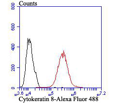 Flow cytometric analysis of MCF-7 cells with Cytokeratin 8 antibody at 1/100 dilution (red) compared with an unlabelled control (cells without incubation with primary antibody; black). Alexa Fluor 488-conjugated goat anti-rabbit IgG was used as the secondary antibody.