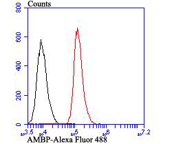 Flow cytometric analysis of HepG2 cells with AMBP antibody at 1/100 dilution (red) compared with an unlabelled control (cells without incubation with primary antibody; black). Alexa Fluor 488-conjugated goat anti-rabbit IgG was used as the secondary antibody.