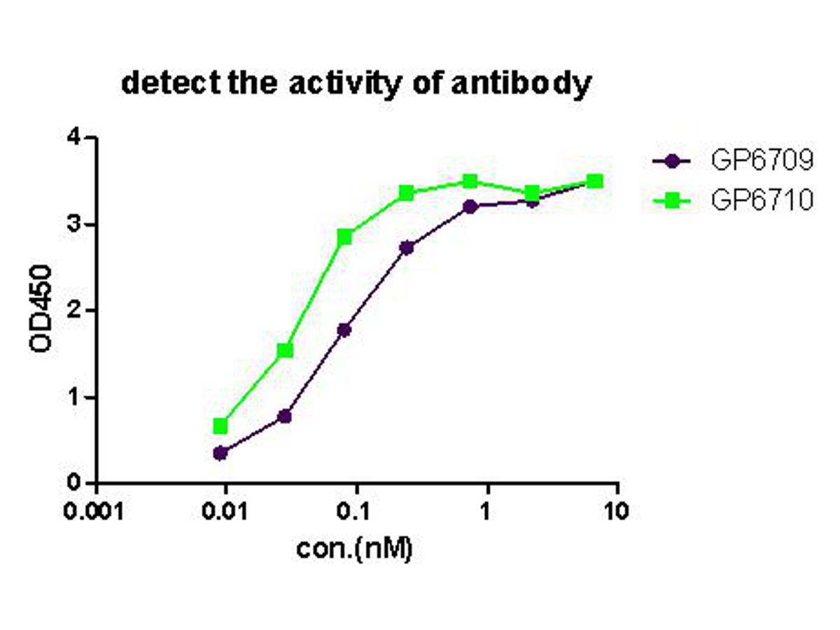 Coating Antigens: free peptide<br />
Coating Concentration: 2 ug/ml, 100ul / well<br />
Coating Buffer: Phosphate Buffered Saline, pH7.4<br />
Secondary Antibody: Goat Anti-Guinea pig IgG (H+L), HRP Conjugated(1:1000)