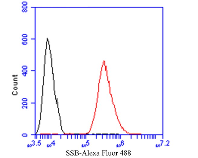 Flow cytometric analysis of SSB was done on HCT116 cells. The cells were fixed, permeabilized and stained with the primary antibody (ER1901-16, 1/50) (red). After incubation of the primary antibody at room temperature for an hour, the cells were stained with a Alexa Fluor 488-conjugated Goat anti-Rabbit IgG Secondary antibody at 1/1000 dilution for 30 minutes.Unlabelled sample was used as a control (cells without incubation with primary antibody; black).