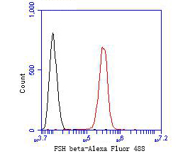 Flow cytometric analysis of FSH beta was done on SH-SY5Y cells. The cells were fixed, permeabilized and stained with the primary antibody (ER1901-19, 1/50) (red). After incubation of the primary antibody at room temperature for an hour, the cells were stained with a Alexa Fluor 488-conjugated Goat anti-Rabbit IgG Secondary antibody at 1/1000 dilution for 30 minutes.Unlabelled sample was used as a control (cells without incubation with primary antibody; black).