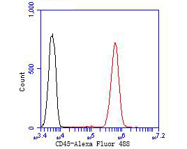 Flow cytometric analysis of CD45 was done on Jurkat cells. The cells were fixed, permeabilized and stained with the primary antibody (ER1901-29, 1/50) (red). After incubation of the primary antibody at room temperature for an hour, the cells were stained with a Alexa Fluor 488-conjugated Goat anti-Rabbit IgG Secondary antibody at 1/1000 dilution for 30 minutes.Unlabelled sample was used as a control (cells without incubation with primary antibody; black).