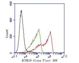 Flow cytometric analysis of KCNK18 was done on SH-SY5Y cells. The cells were stained with the primary antibody (ER1901-46, 1ug/ml) (red) compared with Rabbit IgG, monoclonal  - Isotype Control (green). After incubation of the primary antibody at at +4℃ for 1 hour, the cells were stained with a Alexa Fluor®488 conjugate-Goat anti-Rabbit IgG Secondary antibody at 1/1000 dilution for 30 min at +4℃ (dark incubation).Unlabelled sample was used as a control (cells without incubation with primary antibody; black).