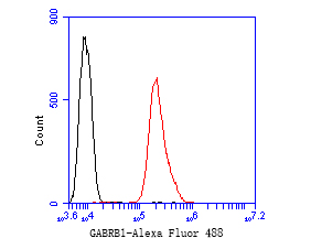 Flow cytometric analysis of GABRB1 was done on SH-SY5Y cells. The cells were fixed, permeabilized and stained with the primary antibody (ER1901-66, 1/50) (red). After incubation of the primary antibody at room temperature for an hour, the cells were stained with a Alexa Fluor 488-conjugated Goat anti-Rabbit IgG Secondary antibody at 1/1000 dilution for 30 minutes.Unlabelled sample was used as a control (cells without incubation with primary antibody; black).