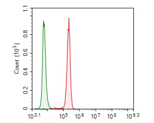 Flow cytometric analysis of USP21 was done on SHSY5Y cells. The cells were fixed, permeabilized and stained with the primary antibody (ER1901-67, 1/100) (red). After incubation of the primary antibody at room temperature for an hour, the cells were stained with a Alexa Fluor 488-conjugated goat anti-rabbit IgG Secondary antibody at 1/500 dilution for 30 minutes.Unlabelled sample was used as a control (cells without incubation with primary antibody; green).
