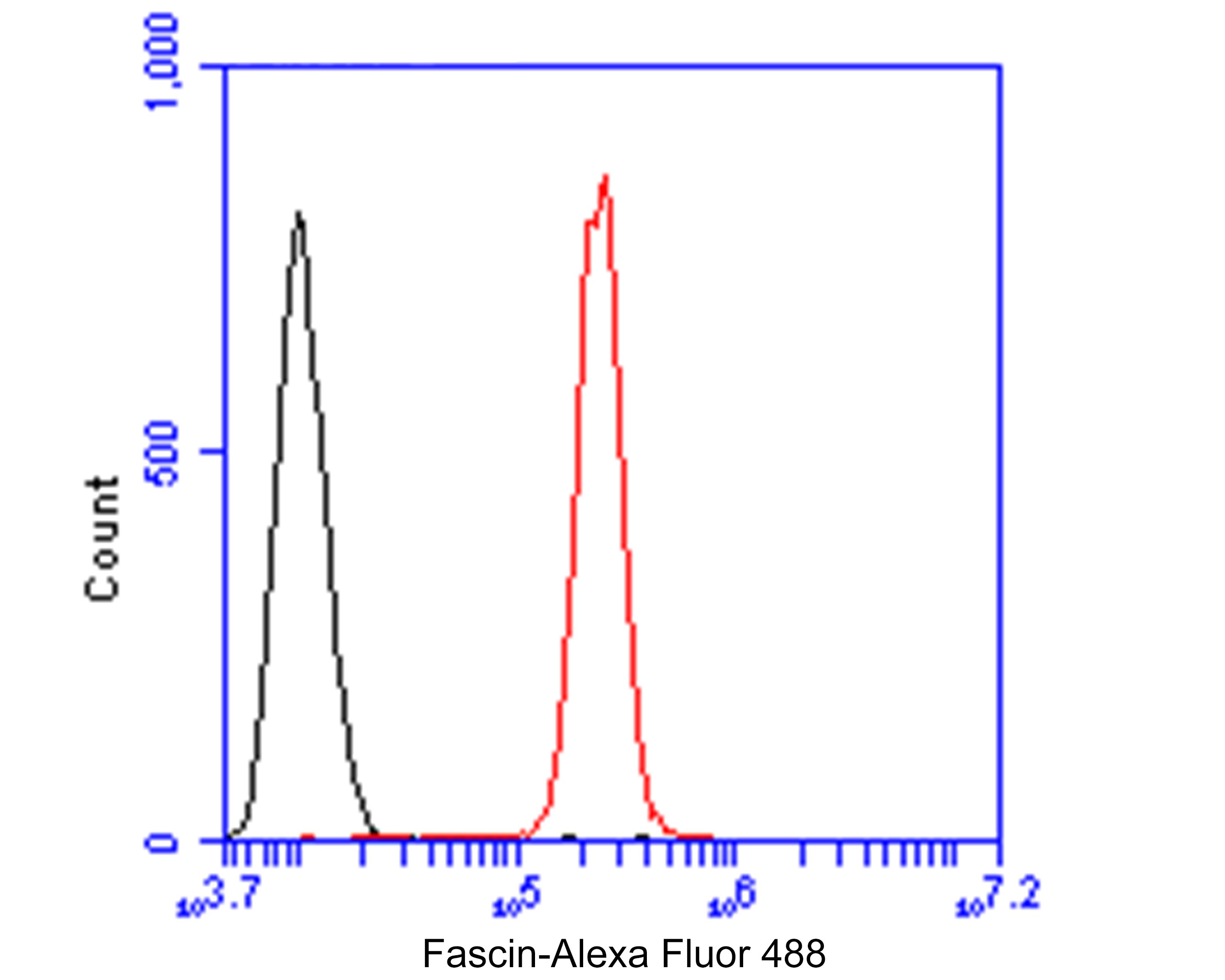 Flow cytometric analysis of Fascin was done on SHSY5Y cells. The cells were fixed, permeabilized and stained with the primary antibody (ER1901-71, 1/50) (red). After incubation of the primary antibody at room temperature for an hour, the cells were stained with a Alexa Fluor 488-conjugated Goat anti-Rabbit IgG Secondary antibody at 1/1000 dilution for 30 minutes.Unlabelled sample was used as a control (cells without incubation with primary antibody; black).