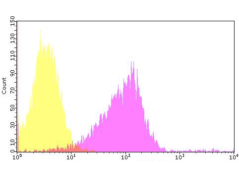 Flow cytometric analysis of Connexin-37 was done on SKOV-3 cells. The cells were fixed, permeabilized and stained with the primary antibody (ER1901-85, 1/100) (purple). After incubation of the primary antibody at room temperature for an hour, the cells were stained with a Alexa Fluor 488-conjugated goat anti-rabbit IgG Secondary antibody at 1/500 dilution for 30 minutes.Unlabelled sample was used as a control (cells without incubation with primary antibody; yellow).