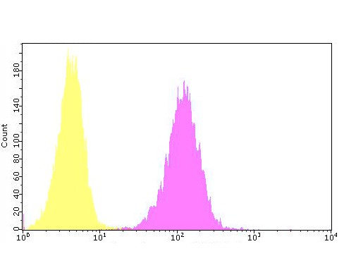 Flow cytometric analysis of CNGA4 was done on Hela cells. The cells were fixed, permeabilized and stained with the primary antibody (ER1901-88, 1/100) (yellow). After incubation of the primary antibody at room temperature for an hour, the cells were stained with a Alexa Fluor 488-conjugated goat anti-rabbit IgG Secondary antibody at 1/500 dilution for 30 minutes.Unlabelled sample was used as a control (cells without incubation with primary antibody; purple).