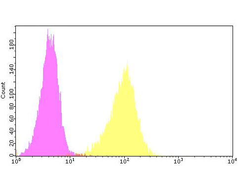 Flow cytometric analysis of CACNG2 was done on SHSY5Y cells. The cells were fixed, permeabilized and stained with the primary antibody (ER1901-89, 1/100) (purple). After incubation of the primary antibody at room temperature for an hour, the cells were stained with a Alexa Fluor 488-conjugated goat anti-rabbit IgG Secondary antibody at 1/500 dilution for 30 minutes.Unlabelled sample was used as a control (cells without incubation with primary antibody; yellow).