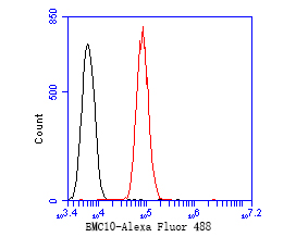 Flow cytometric analysis of EMC10 was done on SiHa cells. The cells were fixed, permeabilized and stained with the primary antibody (ER1902-08, 1/50) (red). After incubation of the primary antibody at room temperature for an hour, the cells were stained with a Alexa Fluor 488-conjugated Goat anti-Rabbit IgG Secondary antibody at 1/1000 dilution for 30 minutes.Unlabelled sample was used as a control (cells without incubation with primary antibody; black).