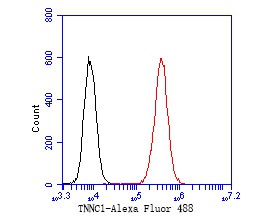 Flow cytometric analysis of TNNC1 was done on SKOV-3 cells. The cells were fixed, permeabilized and stained with the primary antibody (ER1902-25, 1/50) (red). After incubation of the primary antibody at room temperature for an hour, the cells were stained with a Alexa Fluor 488-conjugated Goat anti-Rabbit IgG Secondary antibody at 1/1,000 dilution for 30 minutes.Unlabelled sample was used as a control (cells without incubation with primary antibody; black).