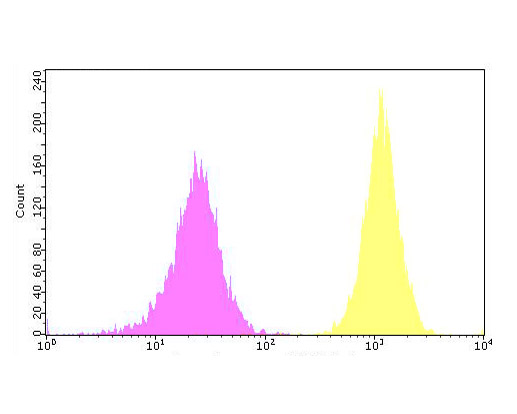 Flow cytometric analysis of SPATA13 was done on SHSY5Y cells. The cells were fixed, permeabilized and stained with the primary antibody (ER1902-32, 1/100) (yellow). After incubation of the primary antibody at room temperature for an hour, the cells were stained with a Alexa Fluor 488-conjugated goat anti-rabbit IgG Secondary antibody at 1/500 dilution for 30 minutes.Unlabelled sample was used as a control (cells without incubation with primary antibody; purple).