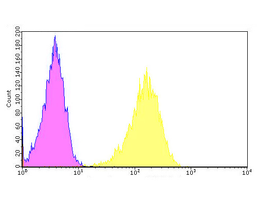 Flow cytometric analysis of Drebrin was done on SHSY5Y cells. The cells were fixed, permeabilized and stained with the primary antibody (ER1902-55, 1/100) (yellow). After incubation of the primary antibody at room temperature for an hour, the cells were stained with a Alexa Fluor 488-conjugated goat anti-rabbit IgG Secondary antibody at 1/500 dilution for 30 minutes.Unlabelled sample was used as a control (cells without incubation with primary antibody; purple).