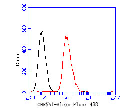 Flow cytometric analysis of CHRNA1 was done on A549 cells. The cells were fixed, permeabilized and stained with the primary antibody (ER1902-58, 1/50) (red). After incubation of the primary antibody at room temperature for an hour, the cells were stained with a Alexa Fluor 488-conjugated Goat anti-Rabbit IgG Secondary antibody at 1/1000 dilution for 30 minutes.Unlabelled sample was used as a control (cells without incubation with primary antibody; black).