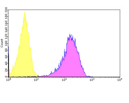 Flow cytometric analysis of MSR1 was done on SHSY5Y cells. The cells were fixed, permeabilized and stained with the primary antibody (ER1902-71, 1/100) (purple). After incubation of the primary antibody at room temperature for an hour, the cells were stained with a Alexa Fluor 488-conjugated goat anti-rabbit IgG Secondary antibody at 1/500 dilution for 30 minutes.Unlabelled sample was used as a control (cells without incubation with primary antibody; yellow).