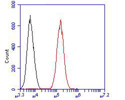 Flow cytometric analysis of USP29 was done on 293 cells. The cells were fixed, permeabilized and stained with the primary antibody (ER1902-76, 1/100) (red). After incubation of the primary antibody at room temperature for an hour, the cells were stained with a Alexa Fluor 488-conjugated goat anti-rabbit IgG Secondary antibody at 1/500 dilution for 30 minutes.Unlabelled sample was used as a control (cells without incubation with primary antibody; blcak).