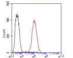 Flow cytometric analysis of Thymidine Phosphorylase was done on Siha cells. The cells were fixed, permeabilized and stained with the primary antibody (ER1902-79, 1/100) (red). After incubation of the primary antibody at room temperature for an hour, the cells were stained with a Alexa Fluor 488-conjugated goat anti-rabbit IgG Secondary antibody at 1/500 dilution for 30 minutes.Unlabelled sample was used as a control (cells without incubation with primary antibody; blcak).