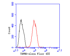 Flow cytometric analysis of TRPM4 was done on MCF-7 cells. The cells were fixed, permeabilized and stained with the primary antibody (ER1902-81, 1/50) (red). After incubation of the primary antibody at room temperature for an hour, the cells were stained with a Alexa Fluor 488-conjugated Goat anti-Rabbit IgG Secondary antibody at 1/1000 dilution for 30 minutes.Unlabelled sample was used as a control (cells without incubation with primary antibody; black).