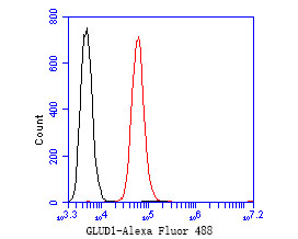 Flow cytometric analysis of GLUD1 was done on SW620 cells. The cells were fixed, permeabilized and stained with the primary antibody (ER1902-85, 1/50) (red). After incubation of the primary antibody at room temperature for an hour, the cells were stained with a Alexa Fluor 488-conjugated Goat anti-Rabbit IgG Secondary antibody at 1/1000 dilution for 30 minutes.Unlabelled sample was used as a control (cells without incubation with primary antibody; black).