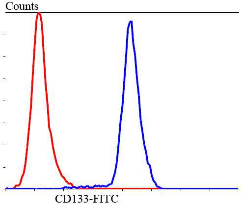 Flow cytometric analysis of SHG-44 cells with CD133 antibody at 1/100 dilution (blue) compared with an unlabelled control (cells without incubation with primary antibody; red). Goat anti rabbit IgG (FITC) was used as the secondary antibody.