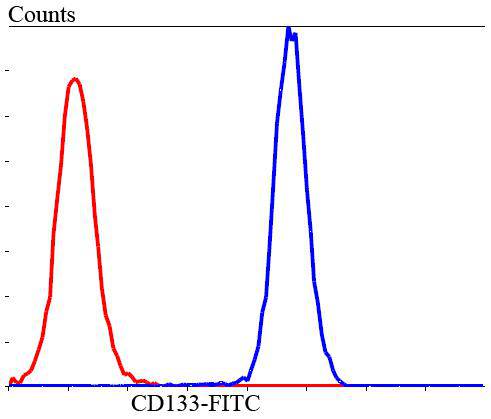 Flow cytometric analysis of HUVEC cells with CD133 antibody at 1/100 dilution (blue) compared with an unlabelled control (cells without incubation with primary antibody; red). Goat anti rabbit IgG (FITC) was used as the secondary antibody.