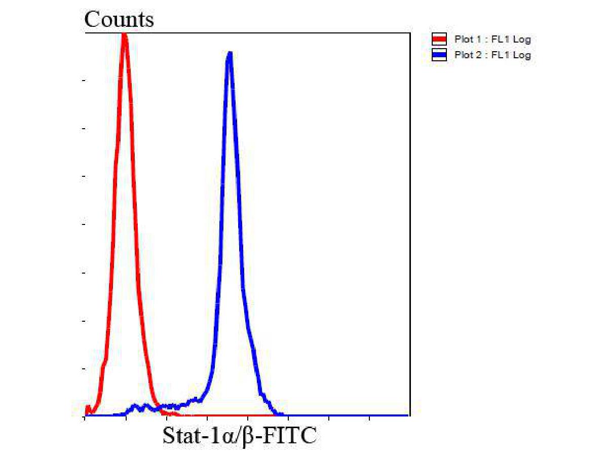 Flow cytometric analysis of Hela cells with Stat-1α/β antibody at 1/100 dilution (blue) compared with an unlabelled control (cells without incubation with primary antibody; red). Goat anti rabbit IgG (FITC) was used as the secondary antibody.