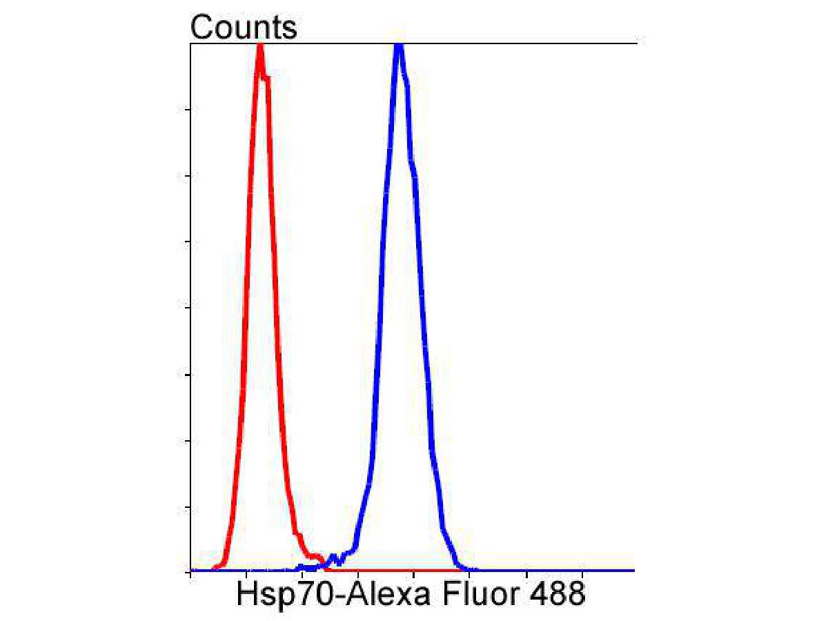 Flow cytometric analysis of Hsp70 was done on Hela cells. The cells were fixed, permeabilized and stained with the primary antibody (ET1601-11, 1/50) (blue). After incubation of the primary antibody at room temperature for an hour, the cells were stained with a Alexa Fluor 488-conjugated Goat anti-Rabbit IgG Secondary antibody at 1/1,000 dilution for 30 minutes.Unlabelled sample was used as a control (cells without incubation with primary antibody; red).