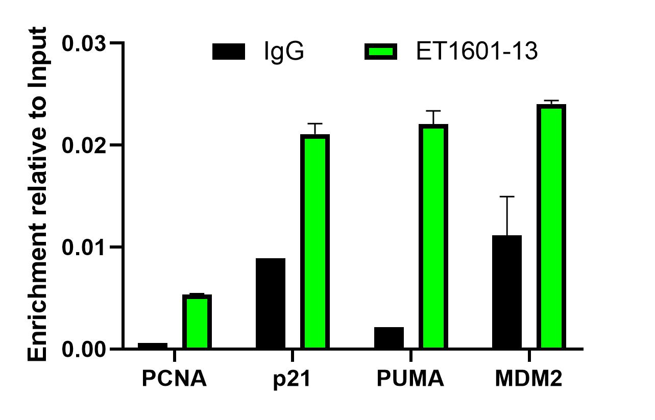 Chromatin immunoprecipitations were performed with cross-linked chromatin from HCT 116 treated with UV for 40minutes then recover for 3 hours cells and either p53 (ET1601-13) or Normal Rabbit IgG according to the ChIP protocol. The enriched DNA was quantified by real-time PCR using indicated primers. The amount of immunoprecipitated DNA in each sample is represented as signal relative to the total amount of input chromatin, which is equivalent to one.